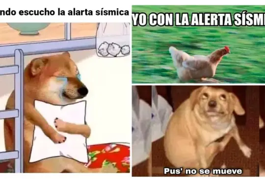 La falsa alerta sísmica provocó una ola de memes en redes sociales 