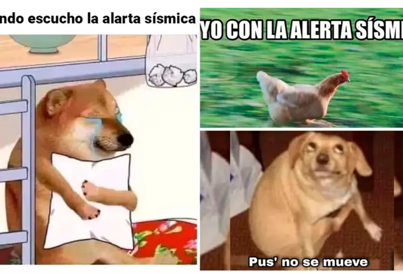 La falsa alerta s&iacute;smica provoc&oacute; una ola de memes en redes sociales 