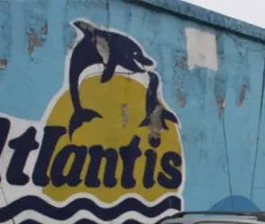Atlantis, el famoso parque de diversiones que cerró inesperadamente en CDMX: tenían show de ballenas y delfines