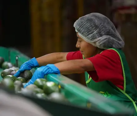 Con dinero y sin dinero, ¿México es la aspiradora de empleos de Estados Unidos? Con dinero y sin dinero, ¿México es la aspiradora de empleos de Estados Unidos?