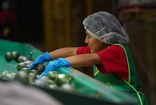 Los empleos manufactureros que se han perdido en Estados Unidos no se han ido a México. Los empleos manufactureros que se han perdido en Estados Unidos no se han ido a México.