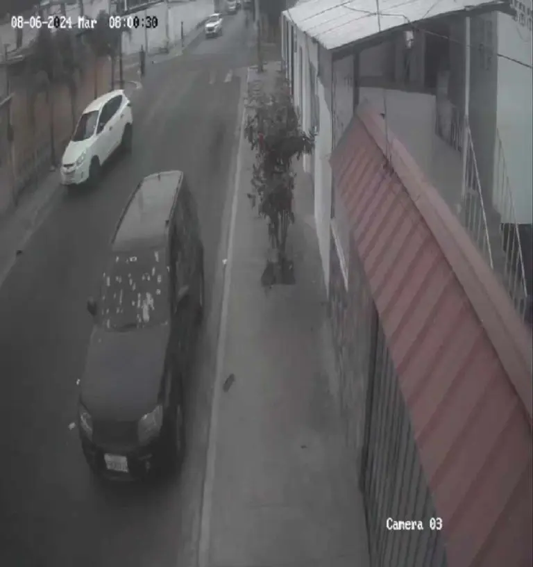 Así quedó el auto del hombre después del ataqueFoto: Captura
