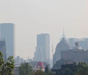 Doble Hoy No Circula: Autos que no podrán circular el 2 de enero