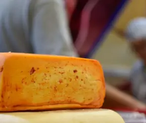 Anuncian apoyos para a familias de migrantes en Aguascalientes 