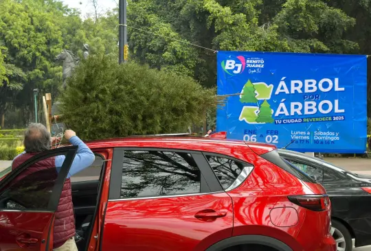 Árbol por Árbol ha sido implementado por diferentes alcaldías