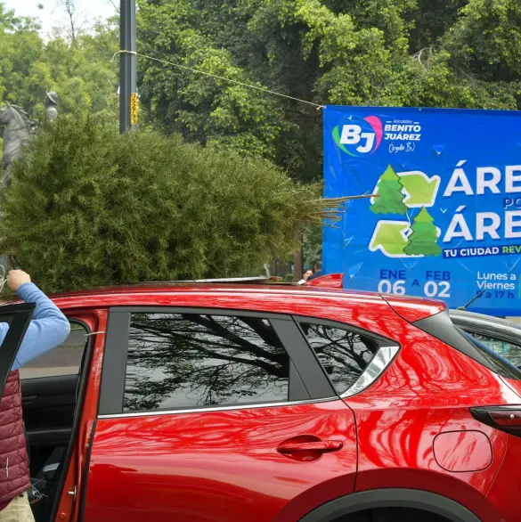 Alcaldía Benito Juárez se une a la campaña Árbol por Árbol tu Ciudad Reverdece 2025