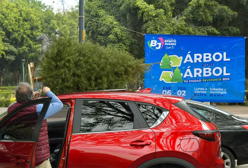 &Aacute;rbol por &Aacute;rbol ha sido implementado por diferentes alcald&iacute;as