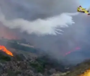 Bomberos mexicanos llegan a California para combatir incendios; agradecen a Sheinbaum
