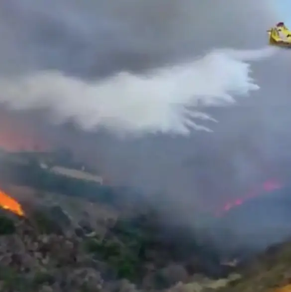 Bomberos mexicanos llegan a California para combatir incendios; agradecen a Sheinbaum