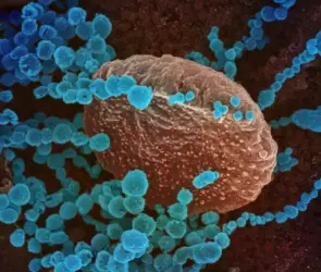 Metapneumovirus humano: Registra México primera muerte por virus