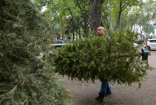 El centro de reciclaje abre todos los días