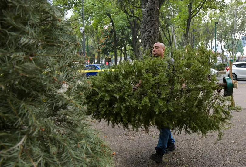 El centro de reciclaje abre todos los d&iacute;as