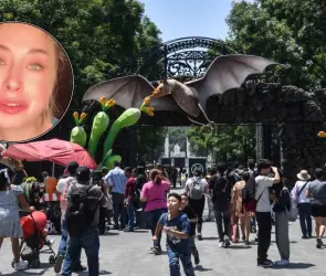 Es la versión chafa de Chapultepec: influencer critica Central Park