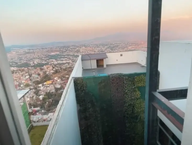 Arriba de la mansión, hay una amplia terraza donde está la casa de sus perros.