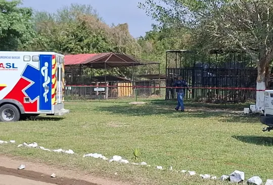 León mata a empleado de zoológico en Tamaulipas