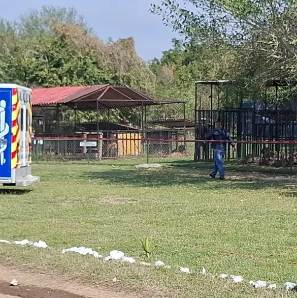 León mata a empleado de zoológico en Tamaulipas; el animal fue sacrificado