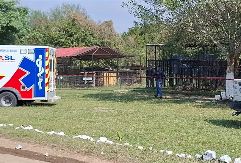 Le&oacute;n mata a empleado de zool&oacute;gico en Tamaulipas