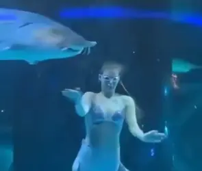 Esturión gigante muerde la cabeza de mujer vestida de sirena en show acuático