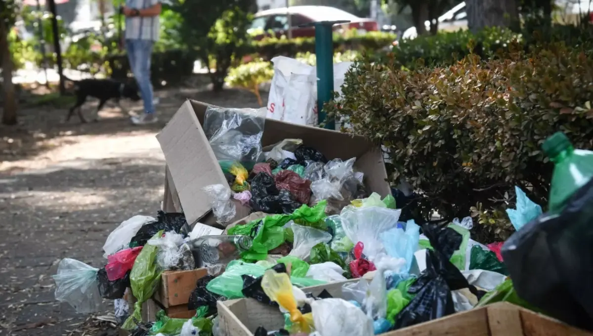  En CDMX se generan más de 13 mil toneladas de basura al día 