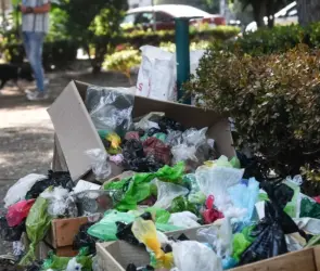 VIDEO: &iquest;Por qu&eacute; no hay botes de basura en CDMX?