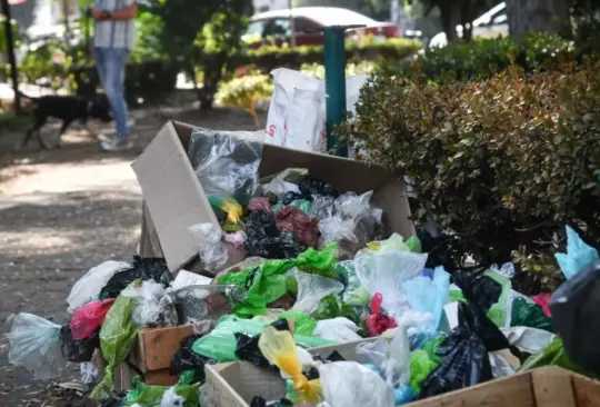 En CDMX se generan más de 13 mil toneladas de basura al día