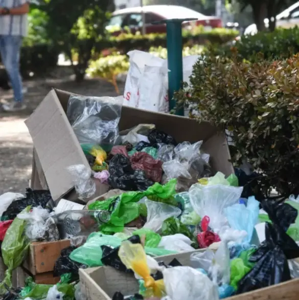 VIDEO: ¿Por qué no hay botes de basura en CDMX?