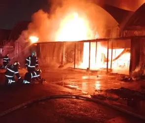 Imágenes impactantes: Incendio consume bodegas en la Central de Abasto