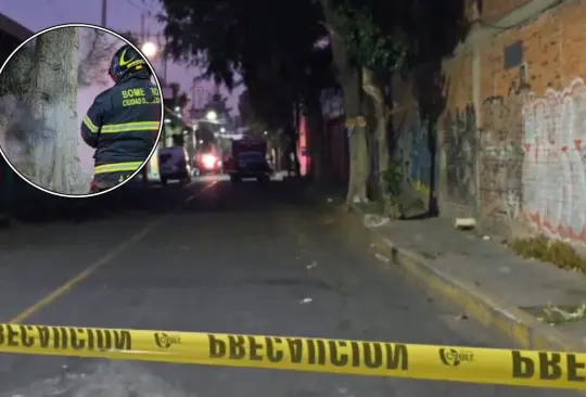 El hallazgo ocurrió en la colonia Bondojito