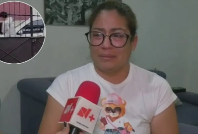 La madre de Lucio N expres&oacute; su inter&eacute;s por quedarse a su nieto.