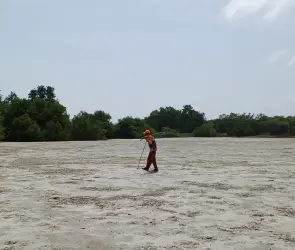 Las habilidades clave para el futuro según el Foro Económico Mundial