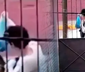 Bebé abandonado en Tultitlán: Mamá de Lucio "N" se queda con la custodia