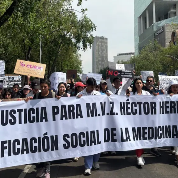 VIDEO: Veterinarios exigen mayor protección para el gremio