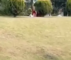 Estaban drogados: exhiben a pareja teniendo intimidad en parque público frente a familias en Metepec