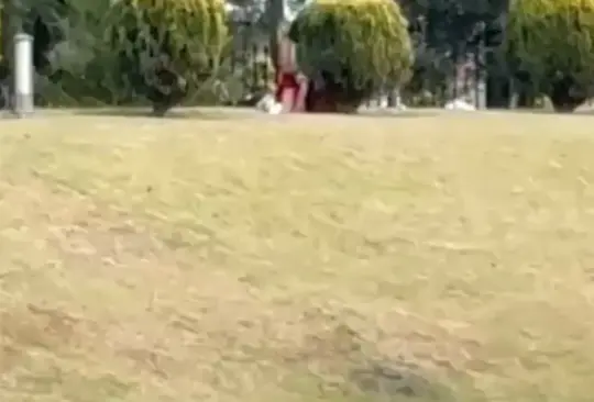 Exhiben a pareja teniendo intimidad en parque públicco de Metepec