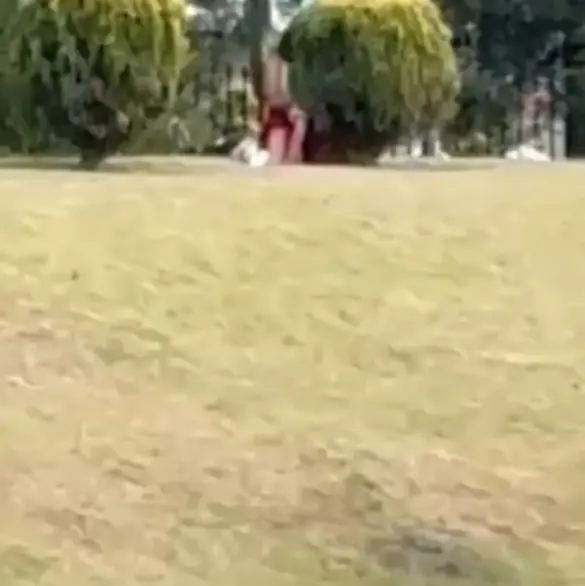 Estaban drogados: exhiben a pareja teniendo intimidad en parque público frente a familias en Metepec