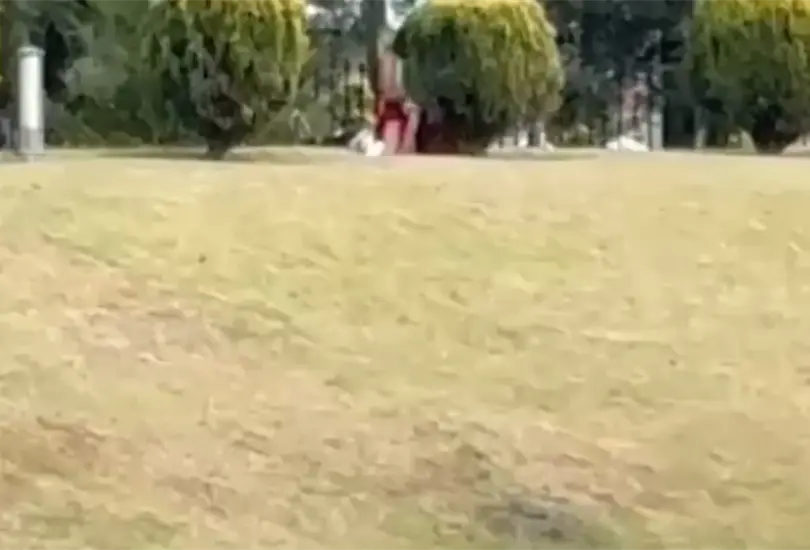 Exhiben a pareja teniendo intimidad en parque p&uacute;blicco de Metepec
