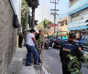 Arrestado por plantar un árbol: el caso de Alfredo Carrillo desata indignación en CDMX