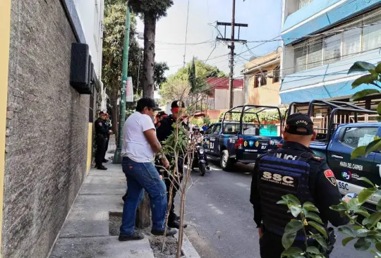 Detienen a Alfredo Carrillo por plantar árbol en CDMX