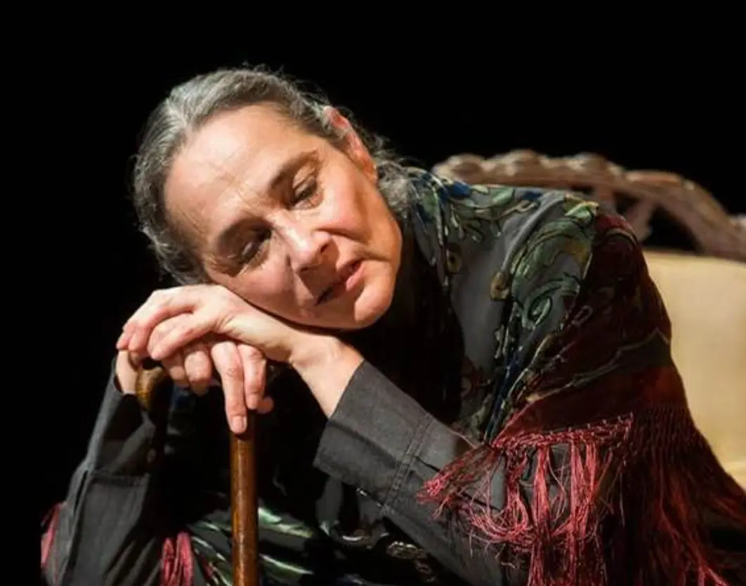 También tuvo apariciones en episodios de la serie 'Lo que callamos las mujeres'.