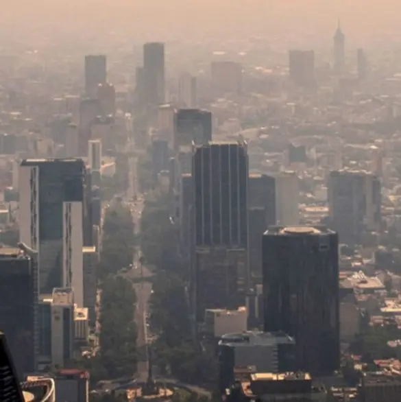 Contingencia ambiental: estos autos no circularían el jueves 20 de marzo