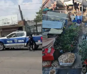 Detienen a hombre que vendía carne de perro como barbacoa