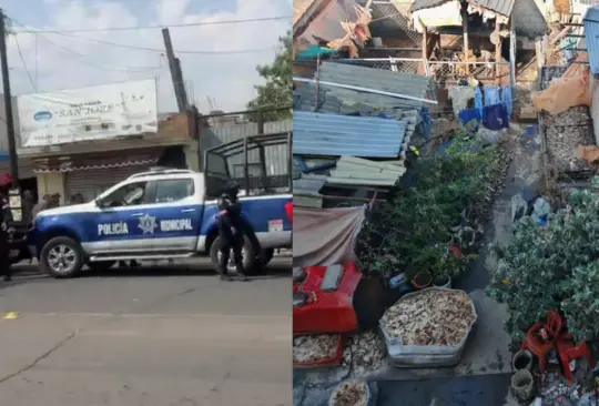 Al menos 100 perritos fueron rescatados del lugar.