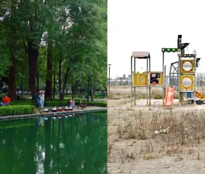 VIDEO: &iquest;Por qu&eacute; no hay &aacute;reas verdes en algunas zonas de CDMX?