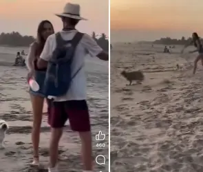 Turista extranjera golpea a perro callejero en Mazunte y causa indignación