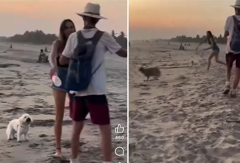 Turista extranjera golpea a perro callejero en Mazunte