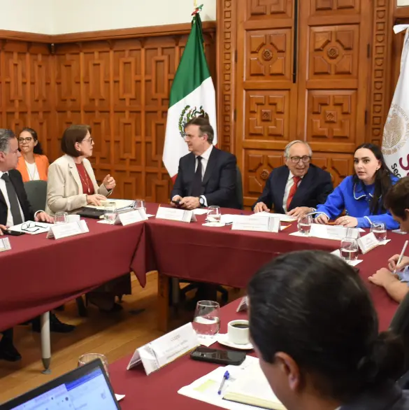 Altagracia Gómez Sierra acude a reunión con sector salud por el Plan México