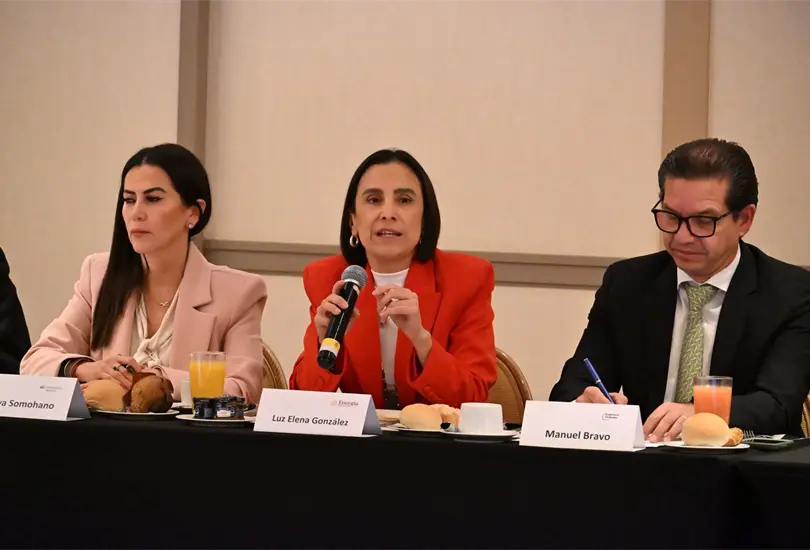SENER y empresas globales discuten participaci&oacute;n privada en el sector energ&eacute;tico