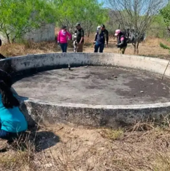 Restos humanos, objetos personales: el nuevo campo de exterminio encontrado en Reynosa