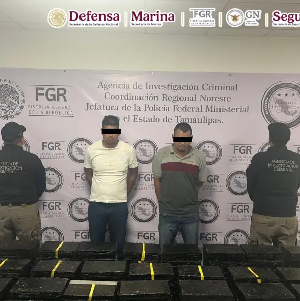 Detienen tractocamión con 700 kilos metanfetamina escondida en cajas de tostadas en Tamaulipas