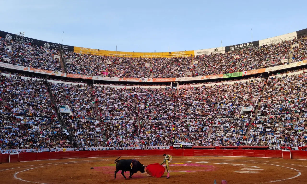  La propuesta busca que permanezca la tradición pero sin la crueldad. 